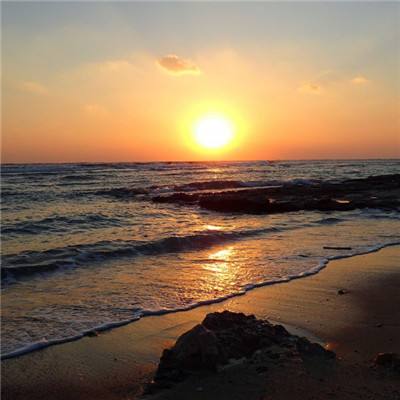 kaiyun体育全站手机app下载